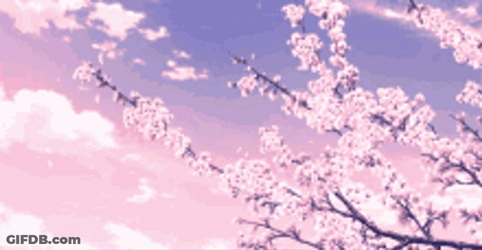Cherry Blossoms Sakura Pink Flowers Purple Skies GIF