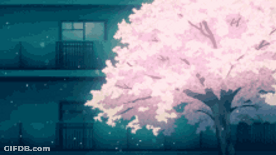 Cherry Blossoms Sakura Pink Flowers Sad Anime Aesthetic GIF