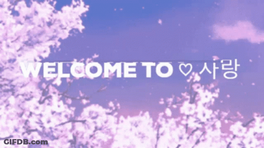 Cherry Blossoms Sakura Pink Flowers Welcome Love GIF