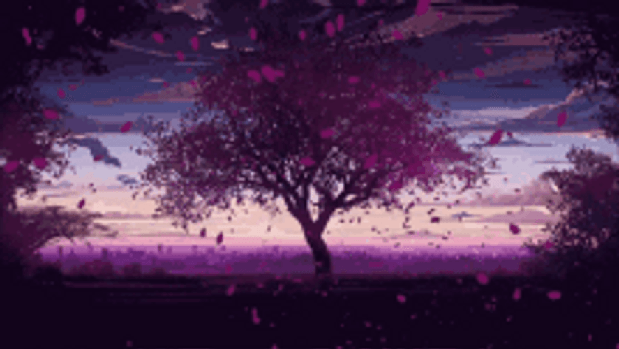 Cherry Blossoms Sakura Pink Violet Flowers Sunset GIF