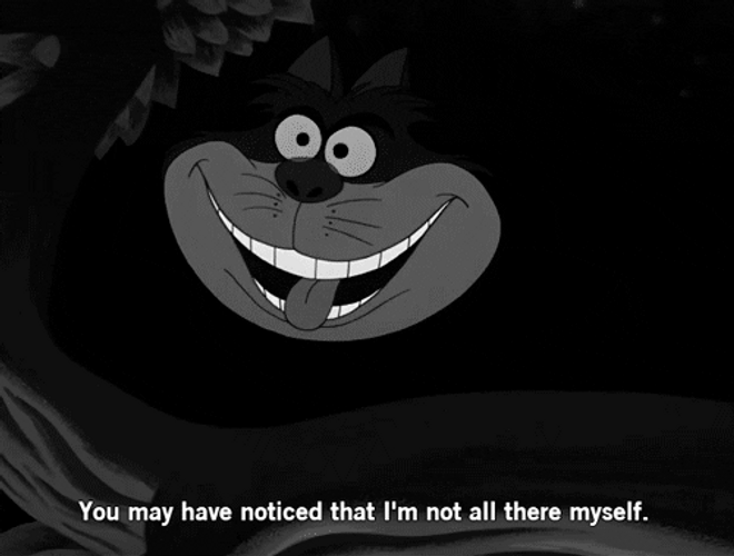 Cheshire Cat I'm Not All There Myself GIF
