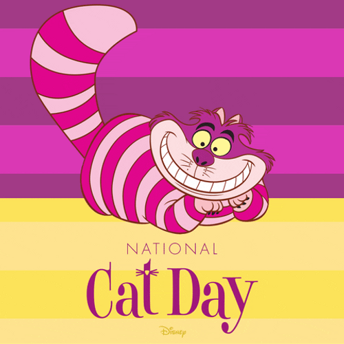 Cheshire Cat National Cat Day GIF