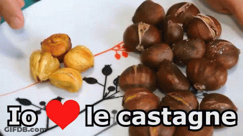 Chestnuts And Rice Bowl On Wooden Table Ti Piacciono Le Castagne GIF