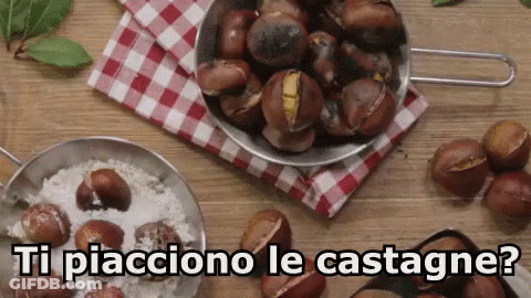 Chestnuts And Rice Ti Piacciono Le Castagne GIF