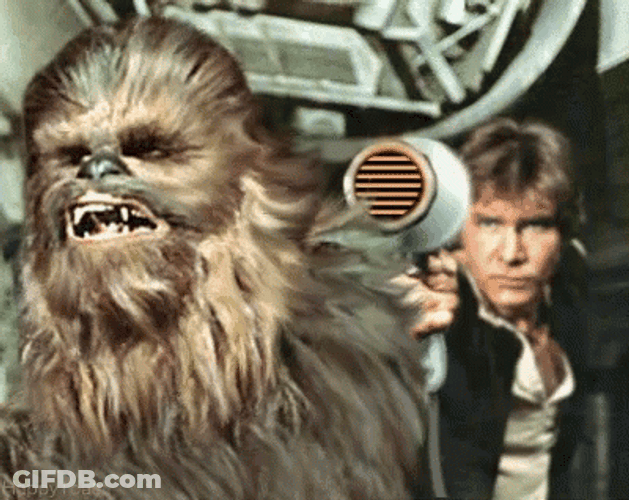 Chewbacca GIF