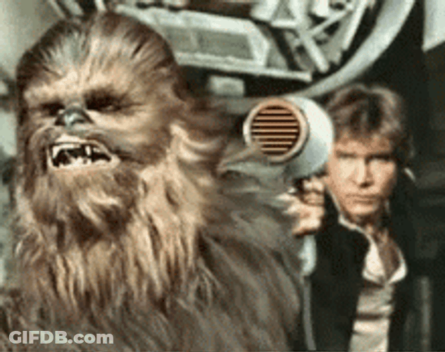 Chewbacca Blow Dried Hair GIF