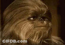 Chewbacca Close Up GIF
