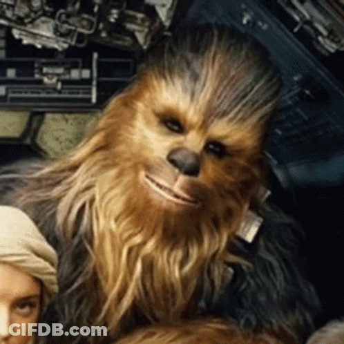 Chewbacca Close Up With Woman In Background GIF