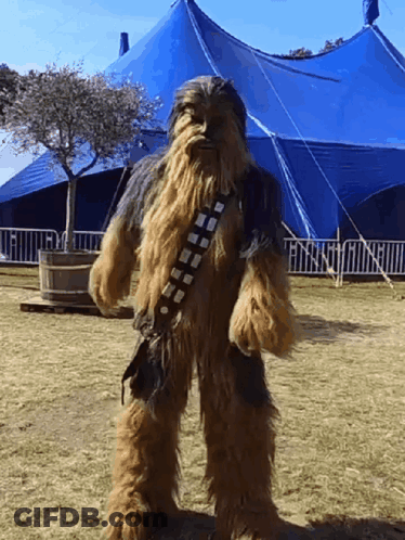 Chewbacca Costume In Field GIF