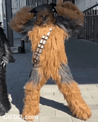 Chewbacca Costume With Checkered Belt GIF