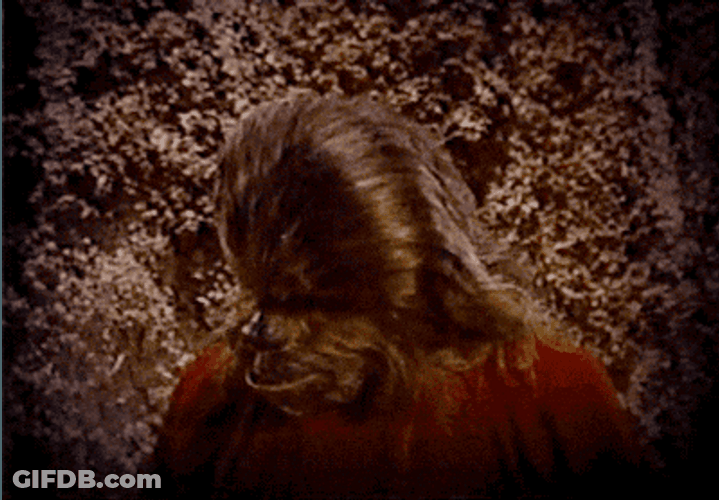 Chewbacca Hairy Face Red Shirt GIF