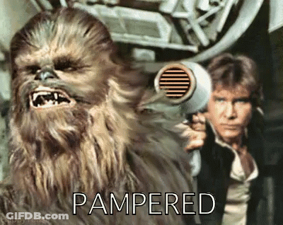 Chewbacca Holding Hair Dryer Next To Han Solo GIF