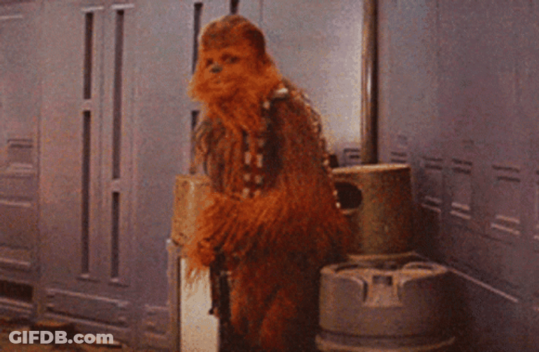 Chewbacca In Denial GIF