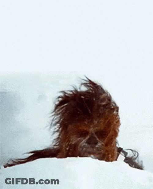 Chewbacca In The Snows GIF