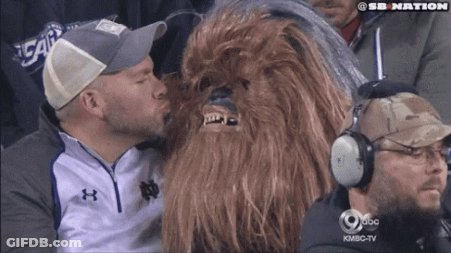 Chewbacca Kissing With A Man GIF
