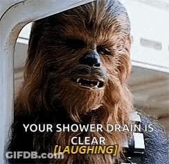Chewbacca Laughing At Clear Shower Drain GIF