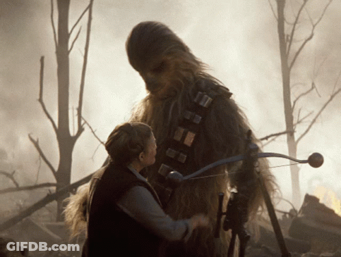 Chewbacca Next To Girl With Bow And Arrow GIF