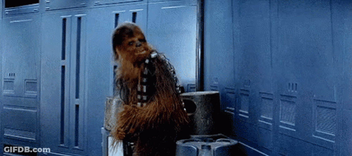 Chewbacca Shaking His Head GIF