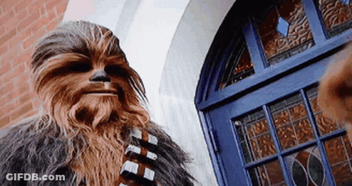 Chewbacca Standing In Front Of Door GIF