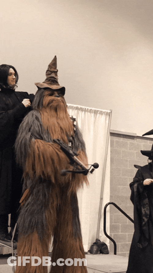 Chewbacca Wearing Sorting Hat GIF