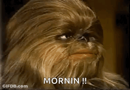 Chewbacca With Mornin Text GIF