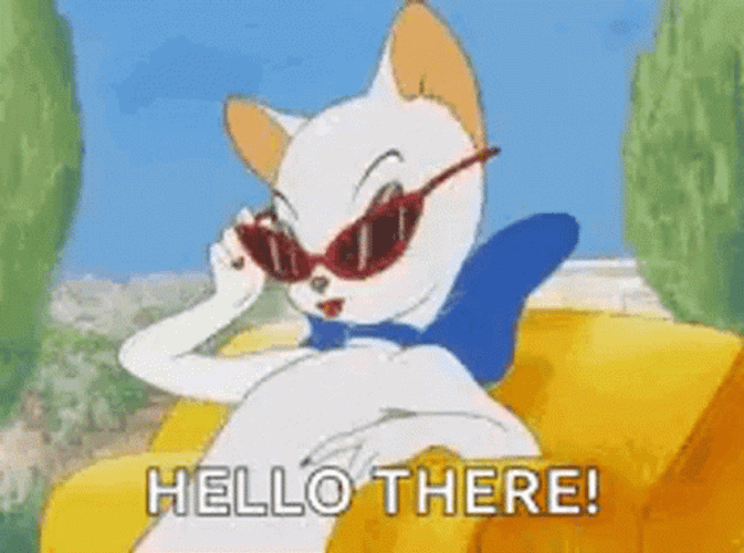 Chic Cat Hello There GIF