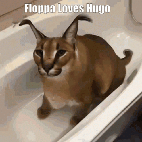 Chic Sassy Floppa Loves Hugo GIF