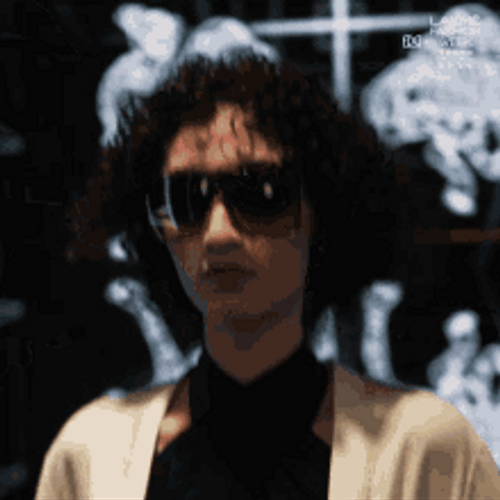 Chic Stylish Runway Model GIF