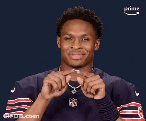 Chicago Bear Darnell Mooney Touch Down GIF