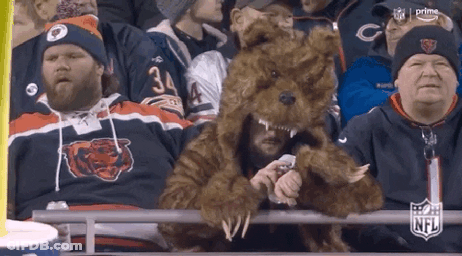 Chicago Bear Fans Bored Down GIF