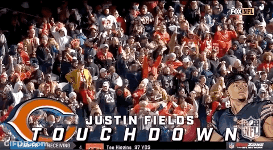 Chicago Bear Fans Celebrates On Touch Down GIF