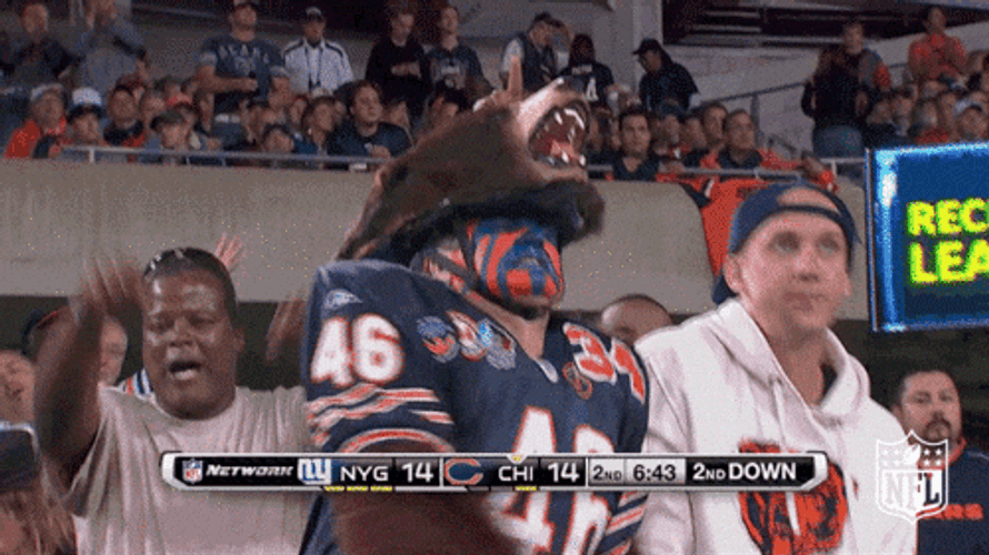 Chicago Bears Bear Head Hat GIF