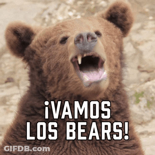 Chicago Bears Open Mouth Big Bear GIF