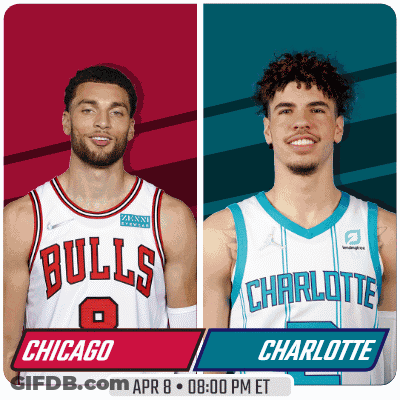 Chicago Bulls And Charlotte Hornets Basketball Players GIF