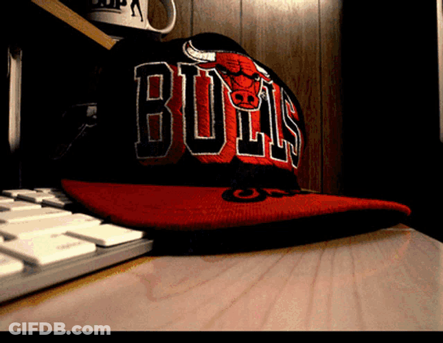 Chicago Bulls Bulls GIF
