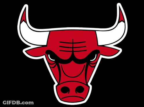 Chicago Bulls Logo Red Bull GIF