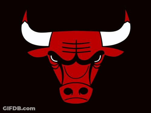 Chicago Bulls Logo Red Bull White Horns GIF