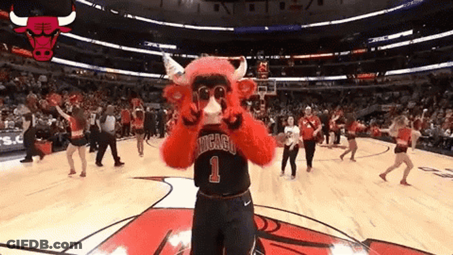 Chicago Bulls Mascot Dancing GIF