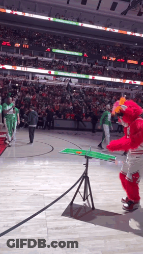 Chicago Bulls Mascot On Basketball Court GIF