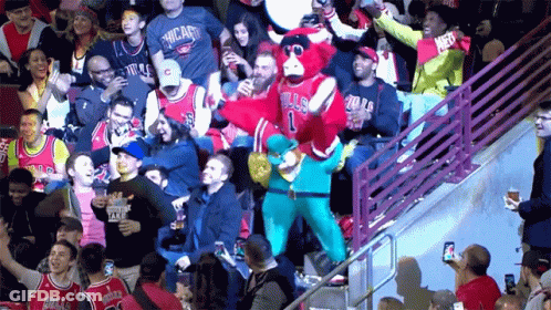 Chicago Bulls Mascot On Basketball Court GIF