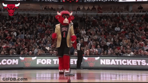 Chicago Bulls Mascot On Basketball Court With Crowd GIF