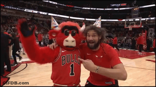Chicago Bulls Mascot Posing With Man GIF