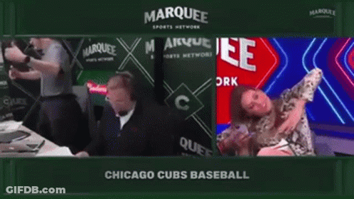 Chicago Cubs Baseball Game GIF