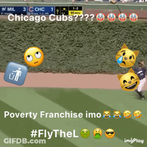 Chicago Cubs Baseball Game GIF