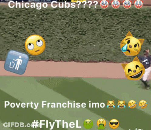 Chicago Cubs Baseball Game GIF