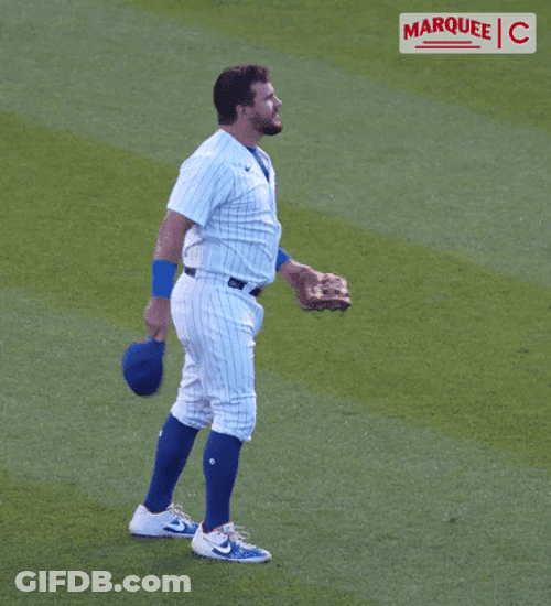 Chicago Cubs Great Catcher GIF