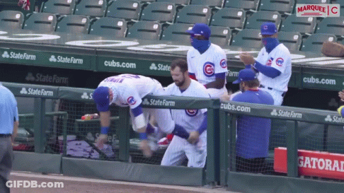 Chicago Cubs Logo With Bear GIF