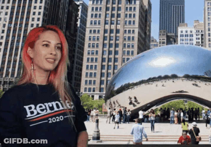 Chicago Millennium Park GIF
