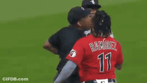 Chicago White Sox Players Fighting GIF