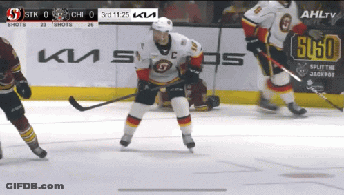 Chicago Wolves Wolves GIF